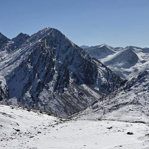 Photo #13035429