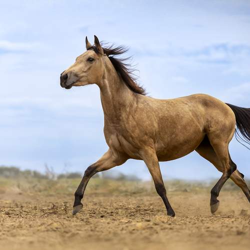 Фотография #13035614