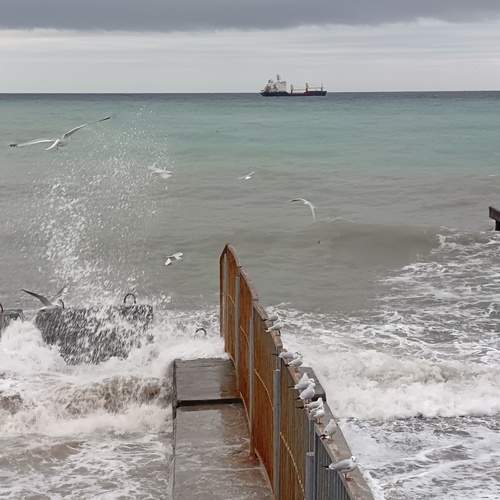 Photo #13035646