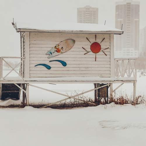 Photo #13035660