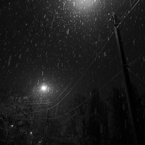 Photo #13035980