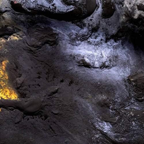 Photo #13036173