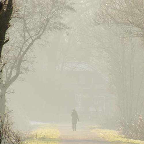 Photo #13036291
