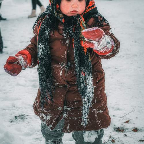Photo #13036312