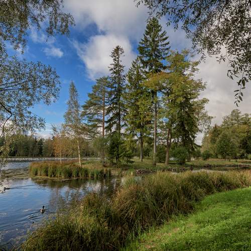 Photo #13036335