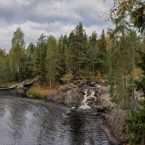 Photo #13036340