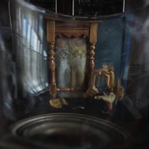 Фотография #13036393