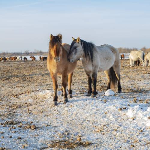 Photo #13036410