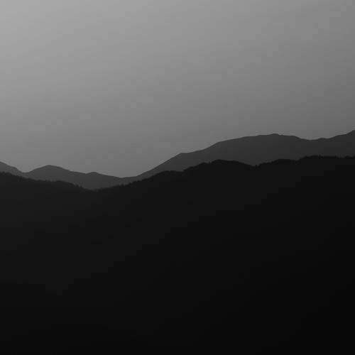 Photo #13036475