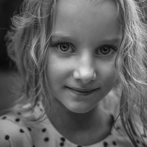 Photo #13036555