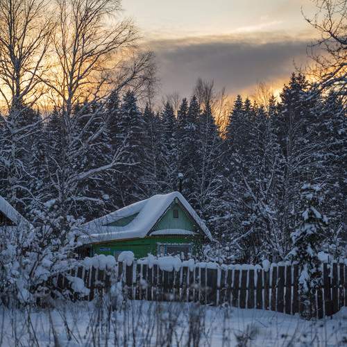 Photo #13036663