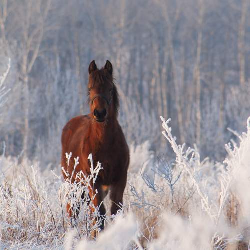 Photo #13036669
