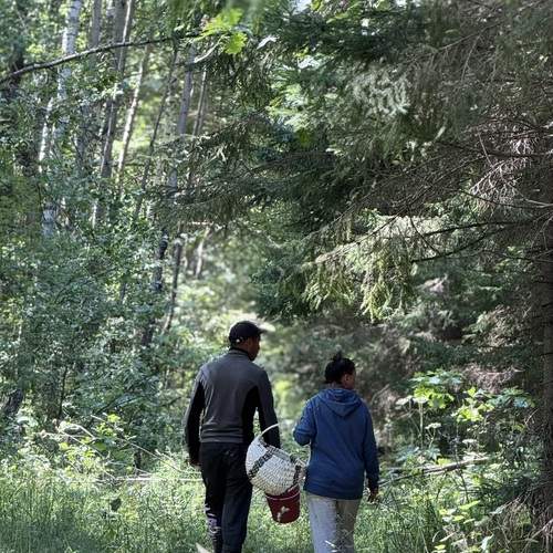 Photo #13036686