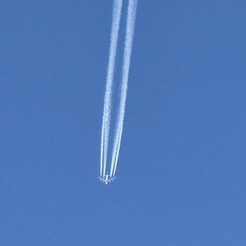 Photo #13036688