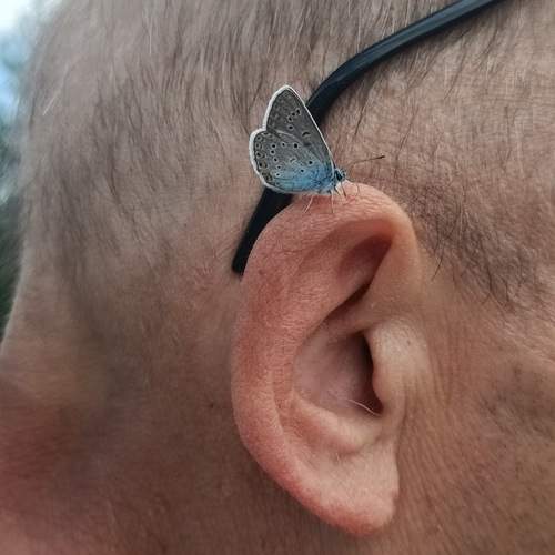 Photo #13036701