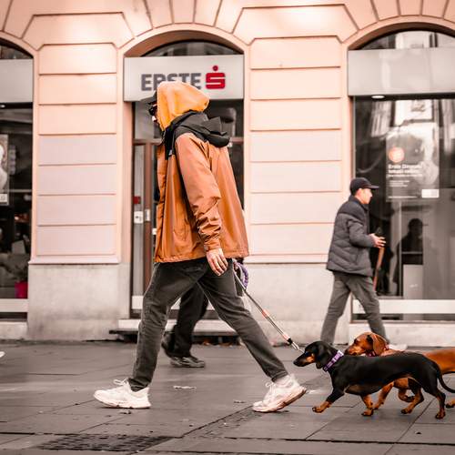 Walk with my best friends !