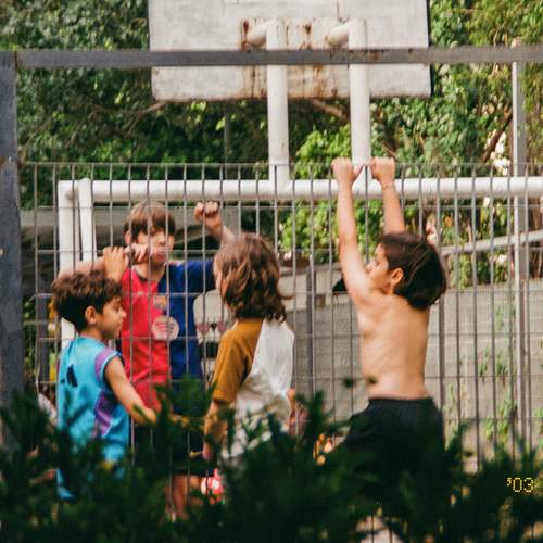 Photo #13037035