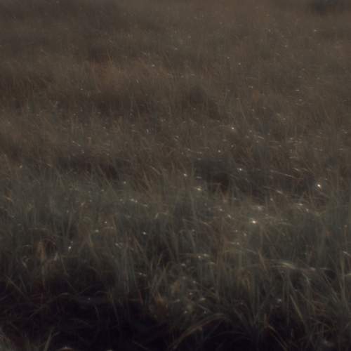 Photo #13037289