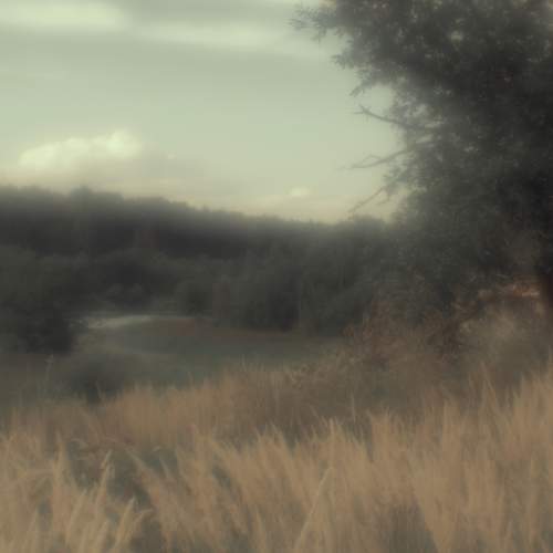 Photo #13037290