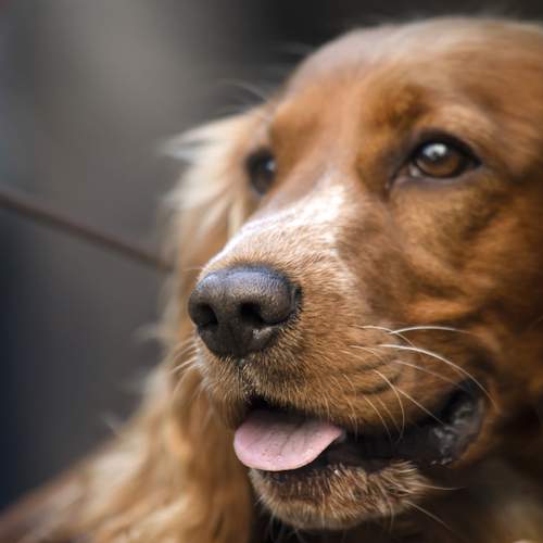 Photo #13037478