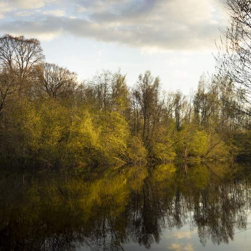 Photo #13037578