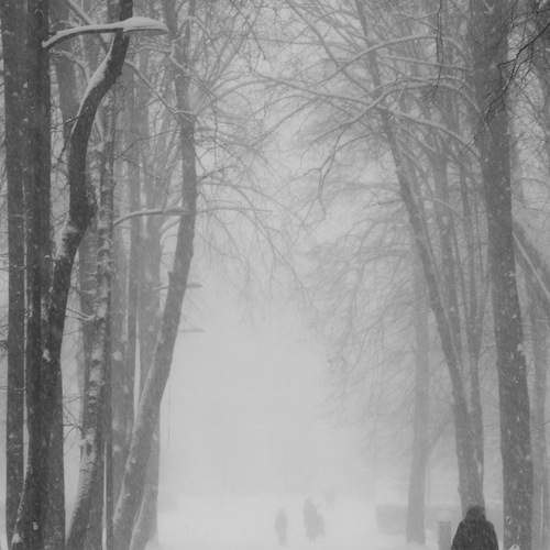 Photo #13037635