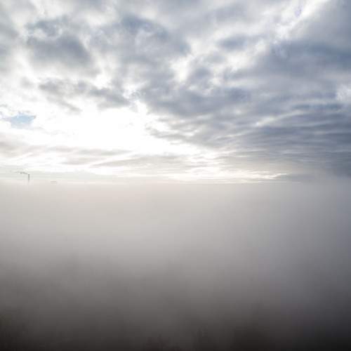 Photo #13037699