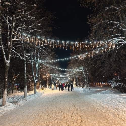 Photo #13037945