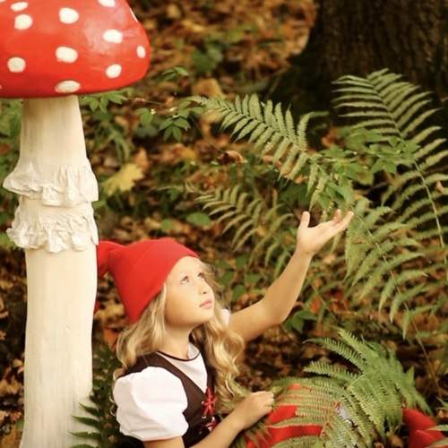 Photo #13037964