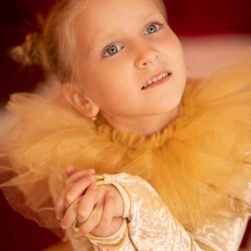 Photo #13038036