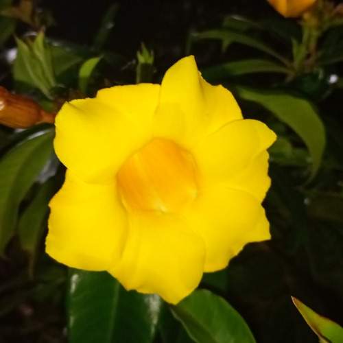 Photo #13038264