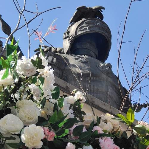 Photo #13038439