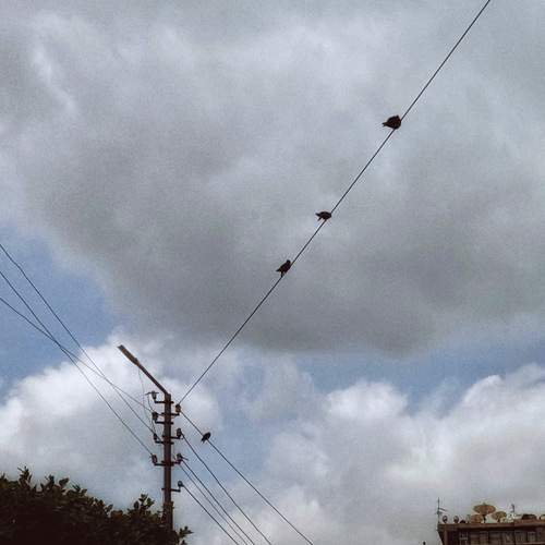 Photo #13038548