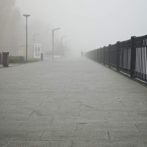 Photo #13038559