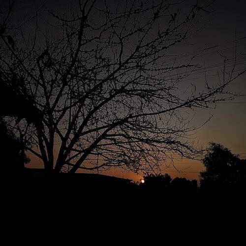 Photo #13038586