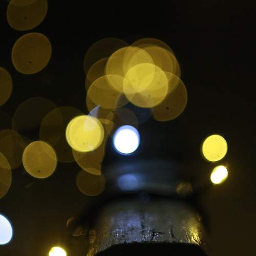 Photo #13038721