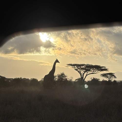 Photo #13038782