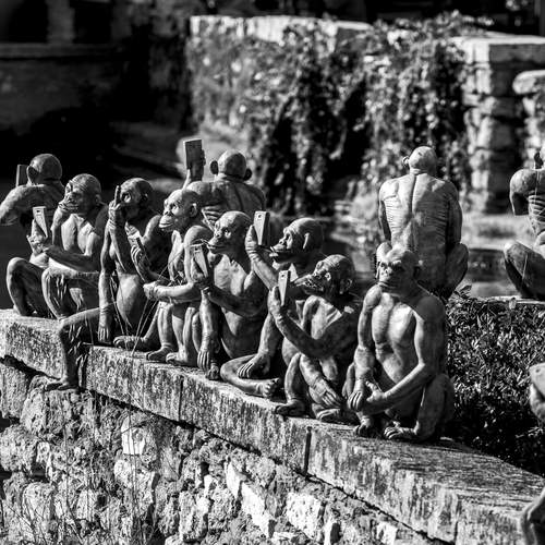 Фотография #13038843