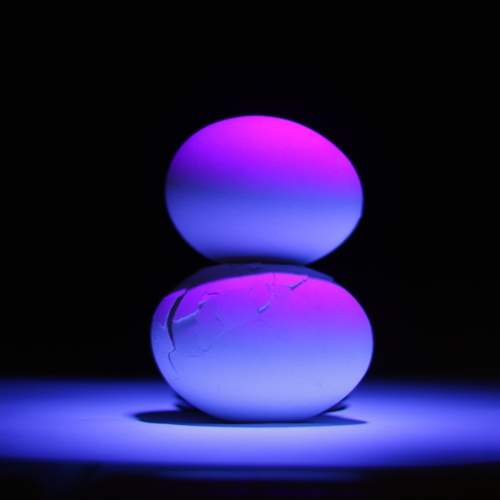 Photo #13038898
