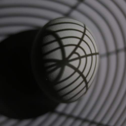 Photo #13038903