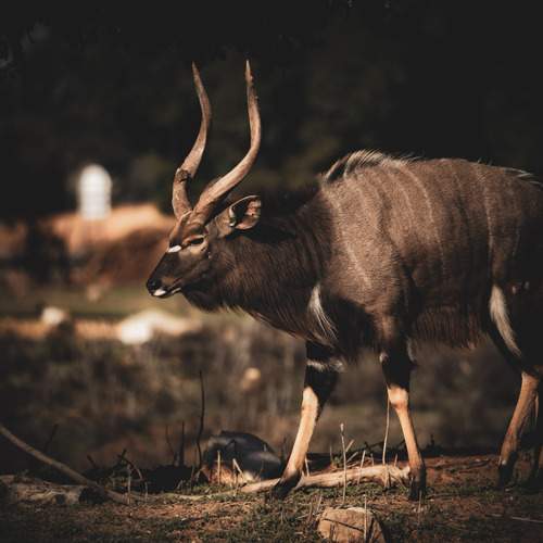 Photo #13038988