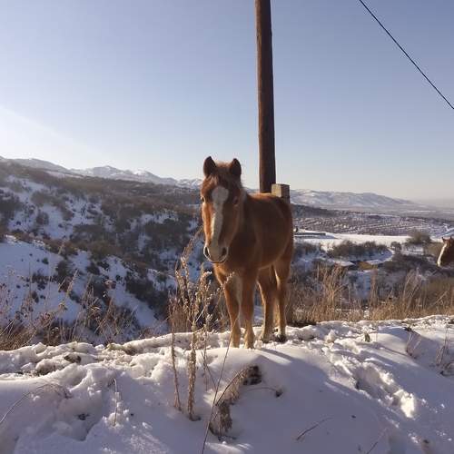 Photo #13039051