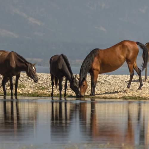 Фотография #13039105