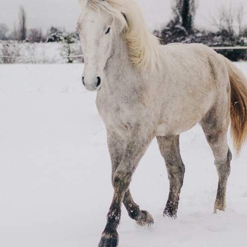 Фотография #13039608