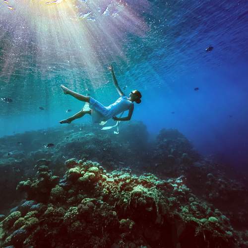 Photo #13039668