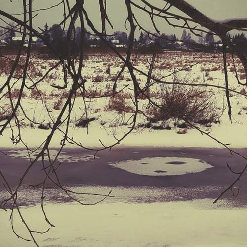 Photo #13039787