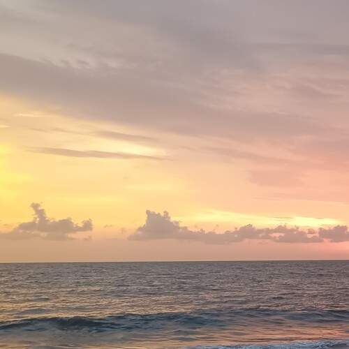 Photo #13039897