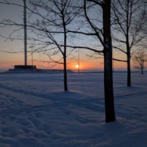 Photo #13040104