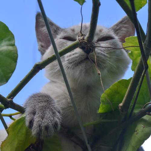 Photo #13040347