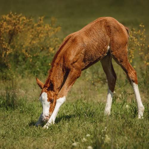 Фотография #13040440